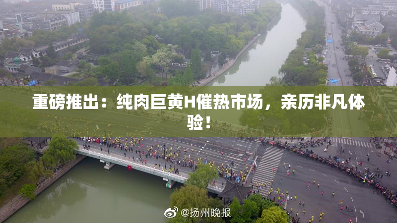 重磅推出：纯肉巨黄H催热市场，亲历非凡体验！