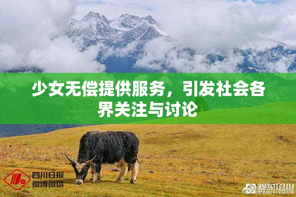 少女无偿提供服务，引发社会各界关注与讨论