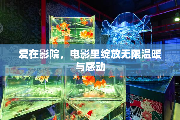 爱在影院，电影里绽放无限温暖与感动