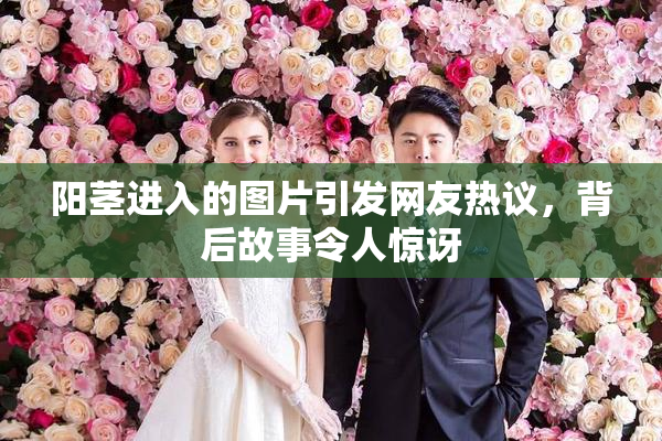 阳茎进入的图片引发网友热议，背后故事令人惊讶