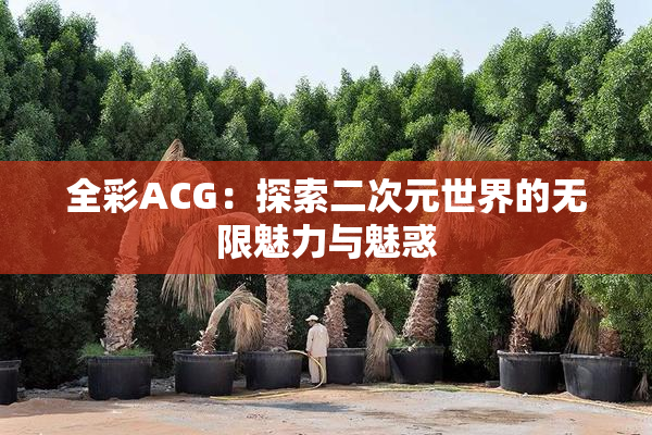 全彩ACG：探索二次元世界的无限魅力与魅惑