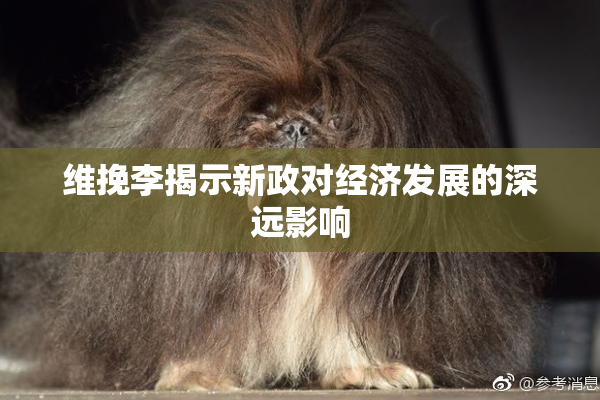 维挽李揭示新政对经济发展的深远影响