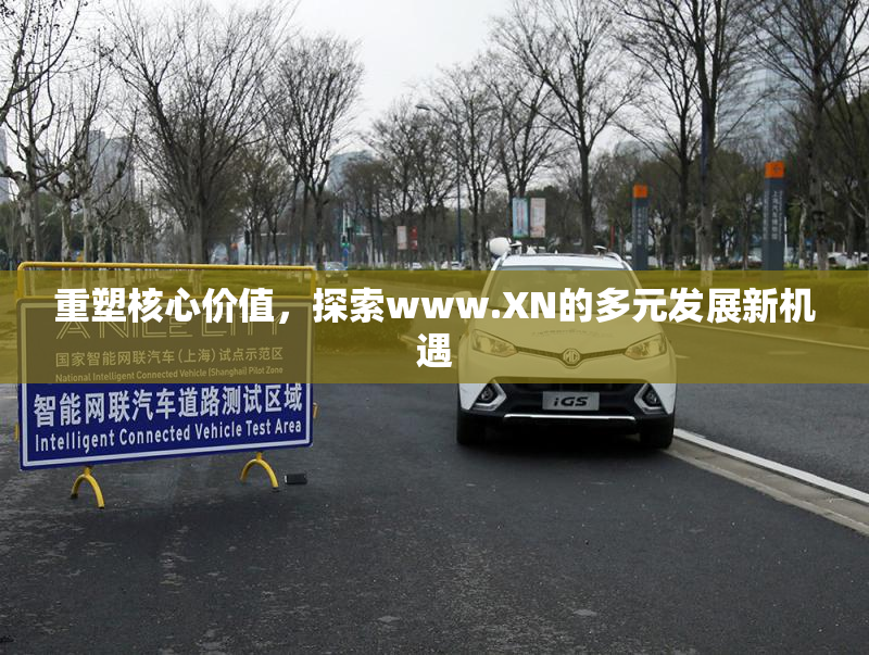 重塑核心价值，探索www.XN的多元发展新机遇