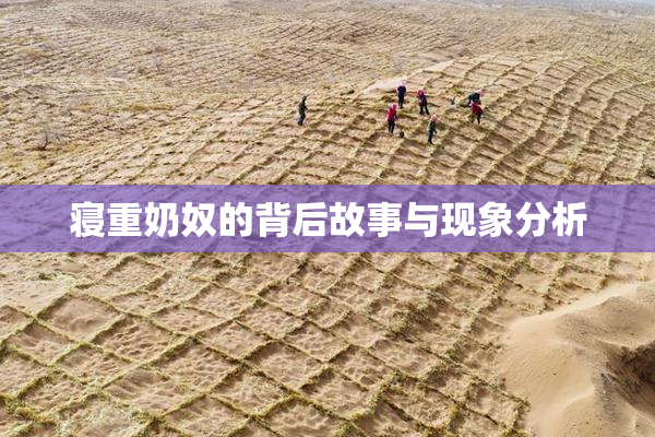 寝重奶奴的背后故事与现象分析