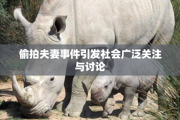 偷拍夫妻事件引发社会广泛关注与讨论
