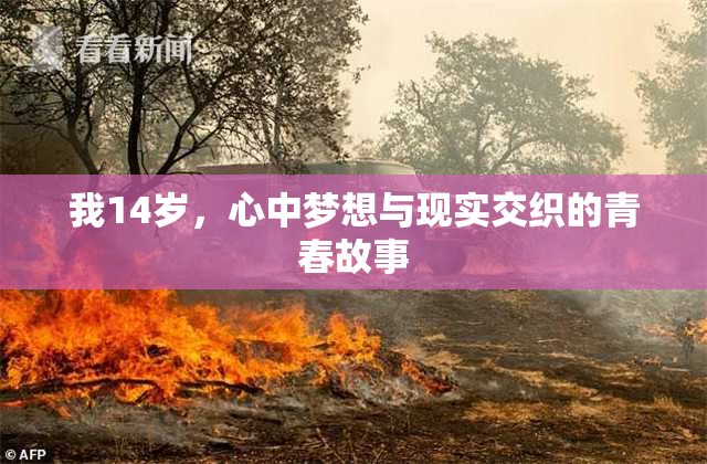 我14岁，心中梦想与现实交织的青春故事