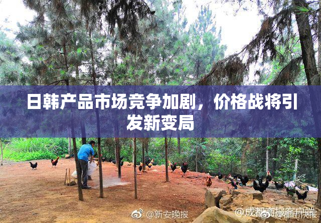 日韩产品市场竞争加剧，价格战将引发新变局