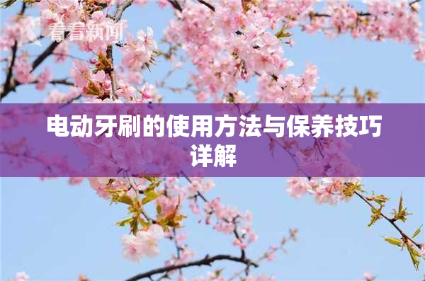 电动牙刷的使用方法与保养技巧详解