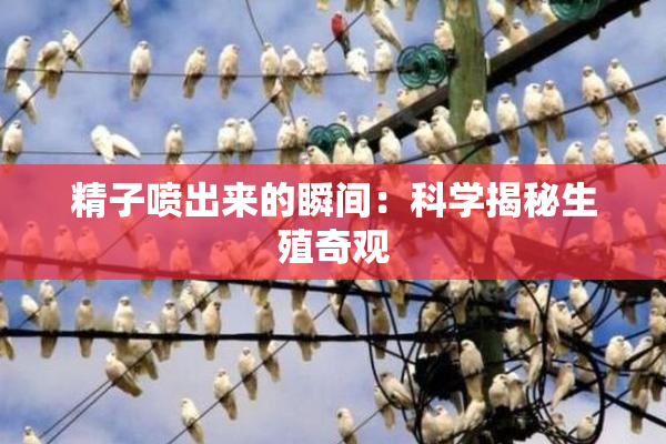精子喷出来的瞬间：科学揭秘生殖奇观