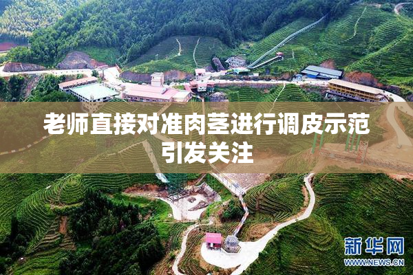 老师直接对准肉茎进行调皮示范引发关注