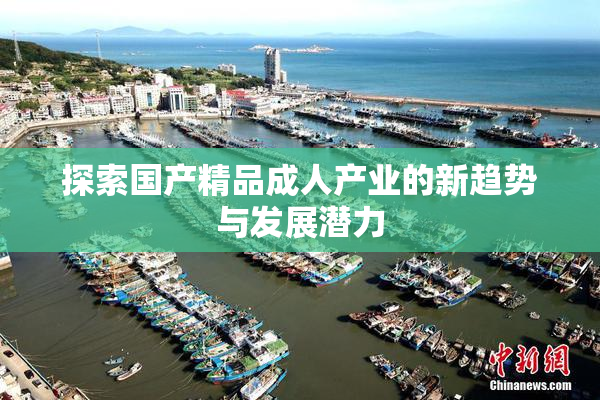 探索国产精品成人产业的新趋势与发展潜力
