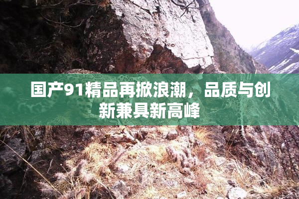 国产91精品再掀浪潮，品质与创新兼具新高峰