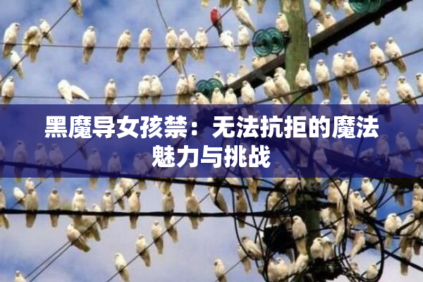 黑魔导女孩禁：无法抗拒的魔法魅力与挑战