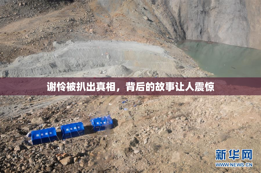 谢怜被扒出真相，背后的故事让人震惊