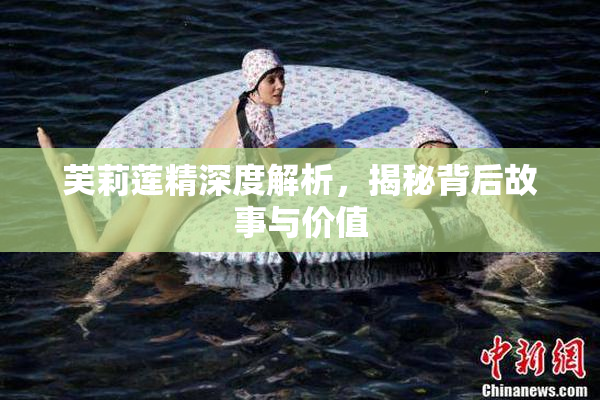 芙莉莲精深度解析，揭秘背后故事与价值