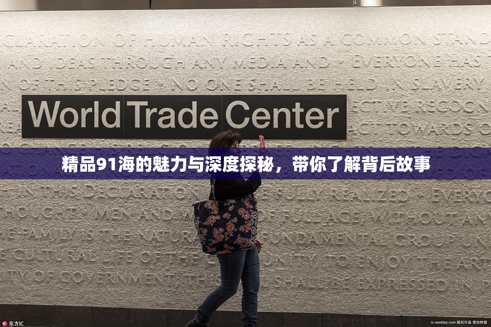 精品91海的魅力与深度探秘，带你了解背后故事