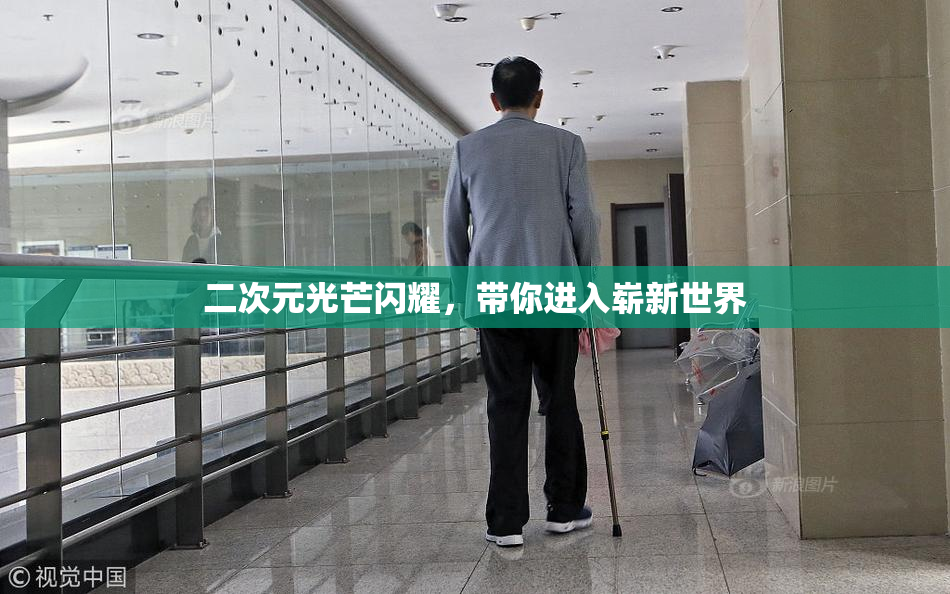 二次元光芒闪耀，带你进入崭新世界