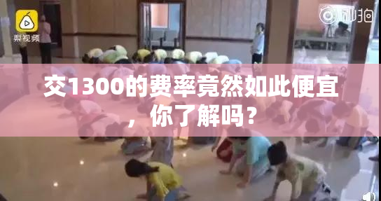交1300的费率竟然如此便宜，你了解吗？