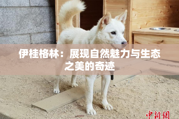 伊桂格林：展现自然魅力与生态之美的奇迹