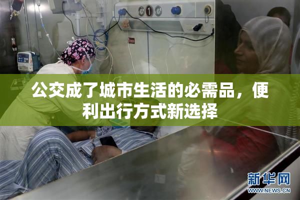 公交成了城市生活的必需品，便利出行方式新选择