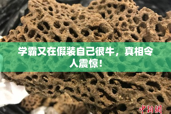 学霸又在假装自己很牛，真相令人震惊！