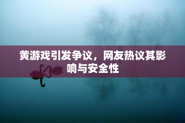 黄游戏引发争议，网友热议其影响与安全性
