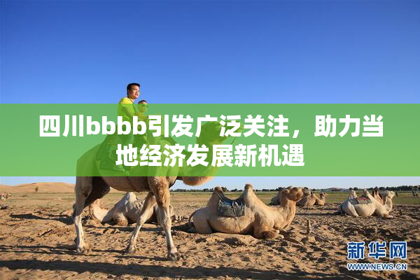 四川bbbb引发广泛关注，助力当地经济发展新机遇