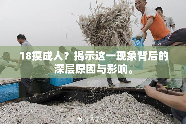 18摸成人？揭示这一现象背后的深层原因与影响。