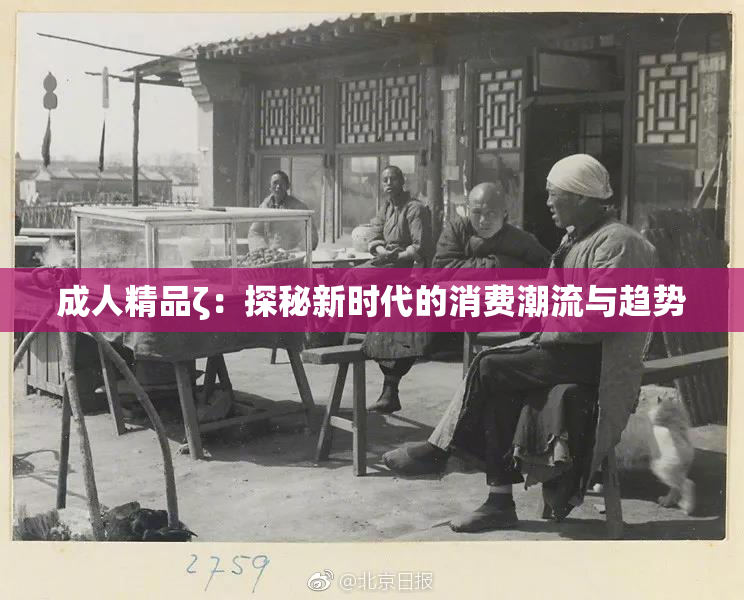 成人精品ζ：探秘新时代的消费潮流与趋势