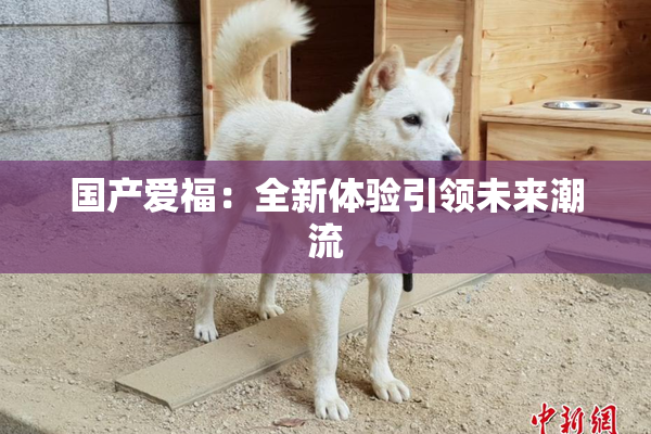 国产爱福：全新体验引领未来潮流
