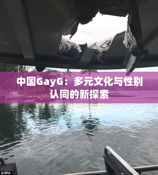 中国GayG：多元文化与性别认同的新探索