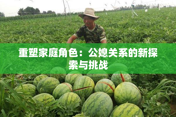重塑家庭角色：公媳关系的新探索与挑战