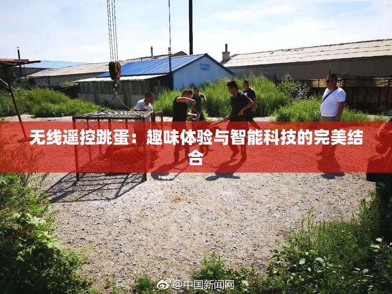 无线遥控跳蛋：趣味体验与智能科技的完美结合