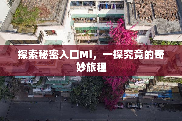 探索秘密入口Mi，一探究竟的奇妙旅程