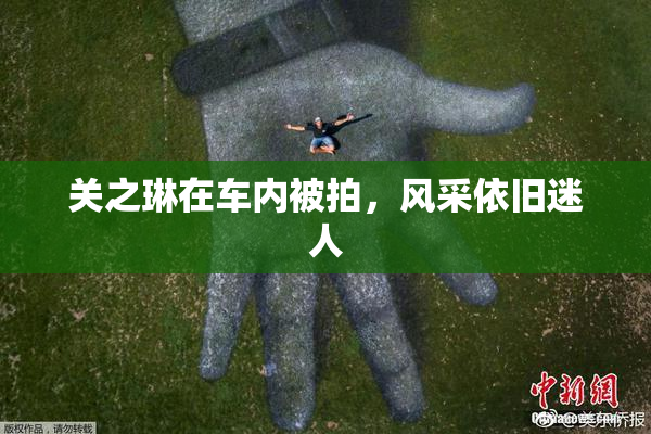 关之琳在车内被拍，风采依旧迷人