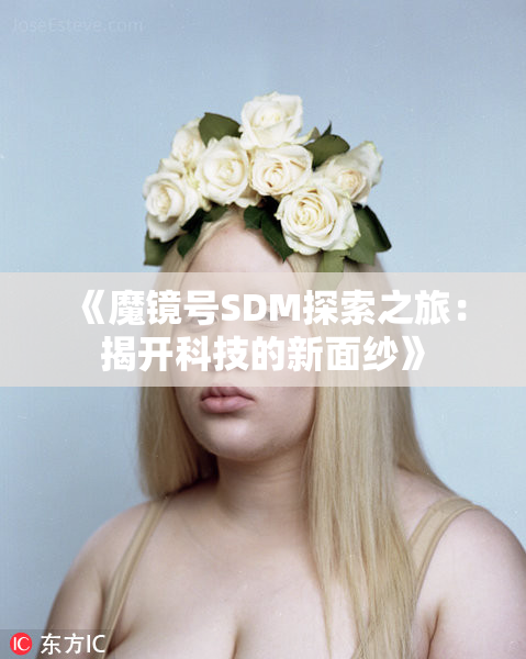 《魔镜号SDM探索之旅：揭开科技的新面纱》