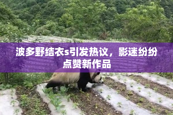 波多野结衣s引发热议，影迷纷纷点赞新作品
