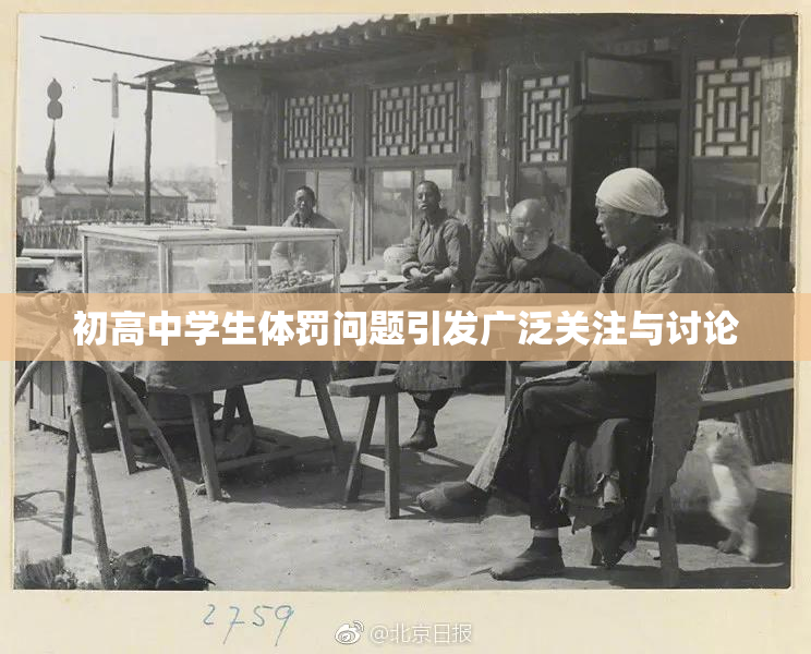 初高中学生体罚问题引发广泛关注与讨论
