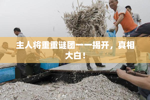主人将重重谜团一一揭开，真相大白！