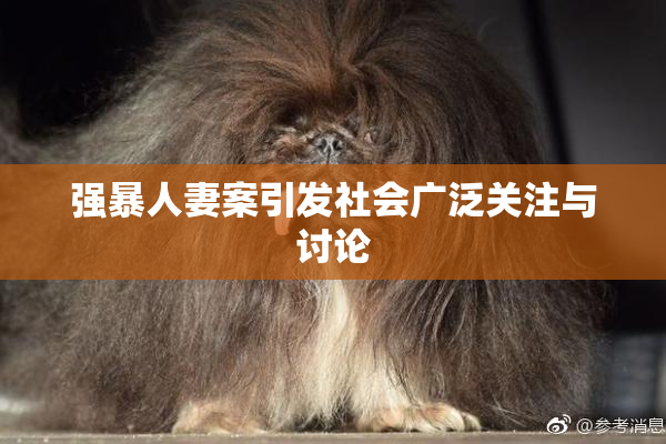 强暴人妻案引发社会广泛关注与讨论