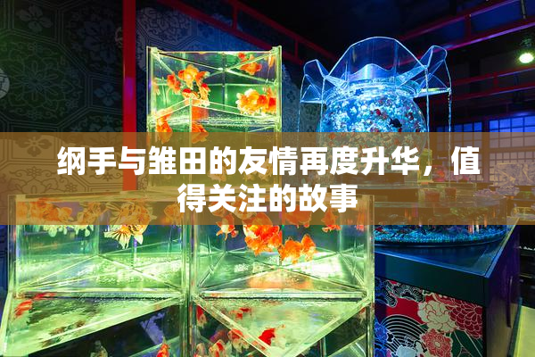 纲手与雏田的友情再度升华，值得关注的故事