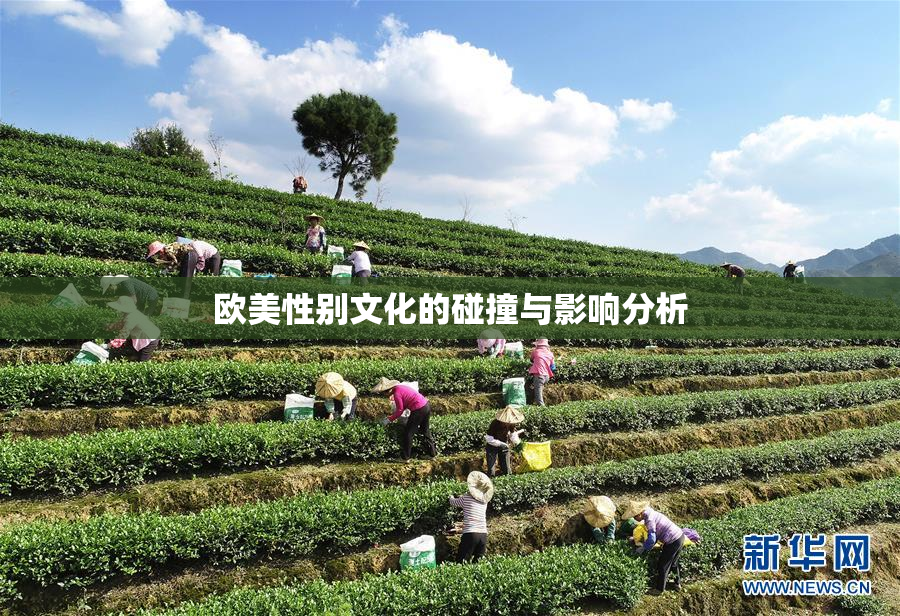 欧美性别文化的碰撞与影响分析