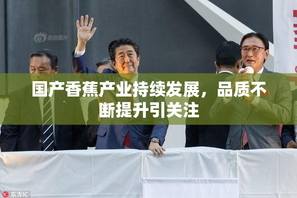 国产香蕉产业持续发展，品质不断提升引关注