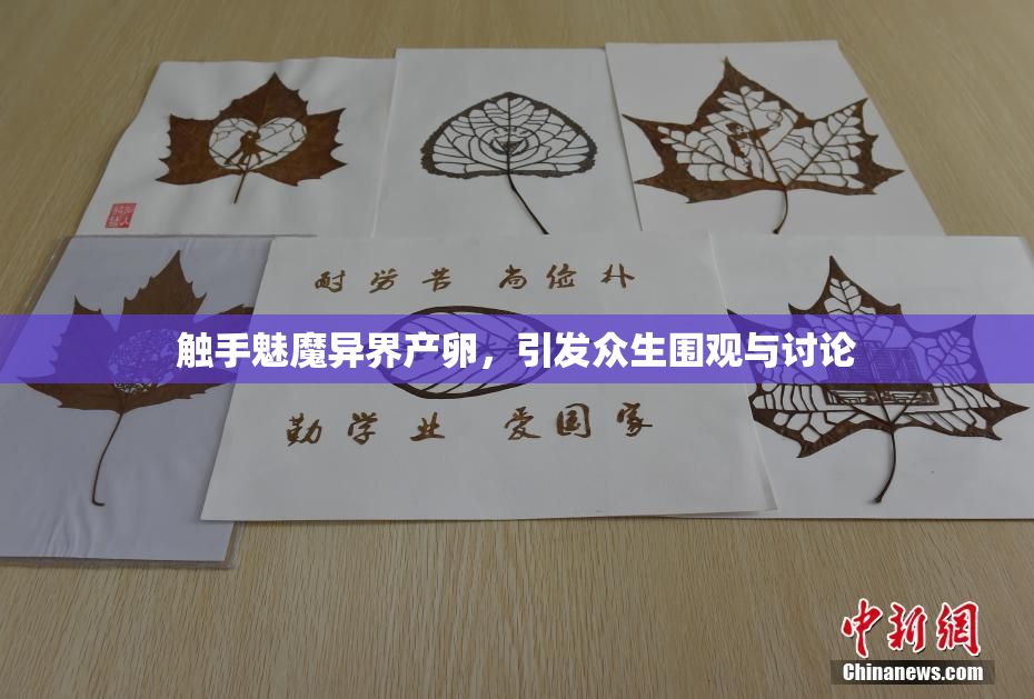 触手魅魔异界产卵，引发众生围观与讨论