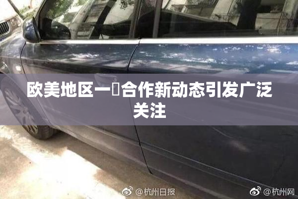 欧美地区一級合作新动态引发广泛关注