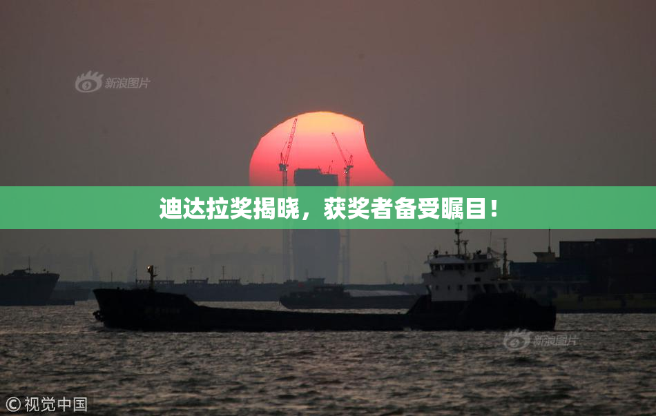 迪达拉奖揭晓，获奖者备受瞩目！