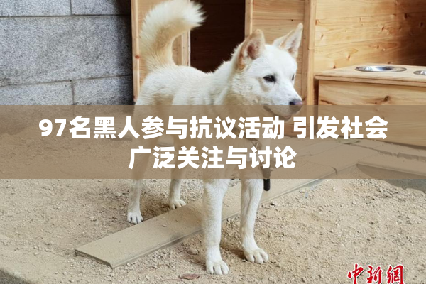 97名黑人参与抗议活动 引发社会广泛关注与讨论