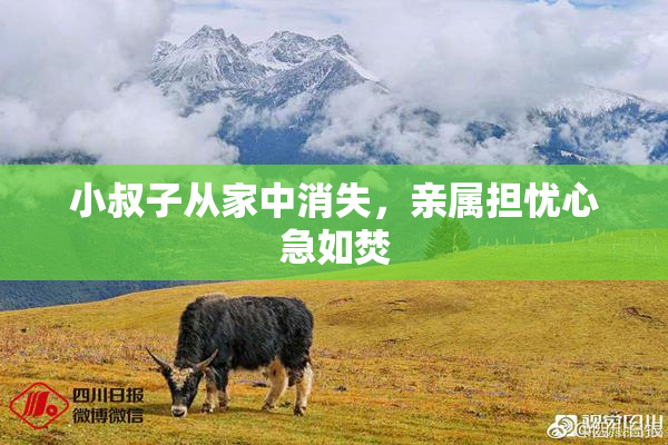 小叔子从家中消失，亲属担忧心急如焚