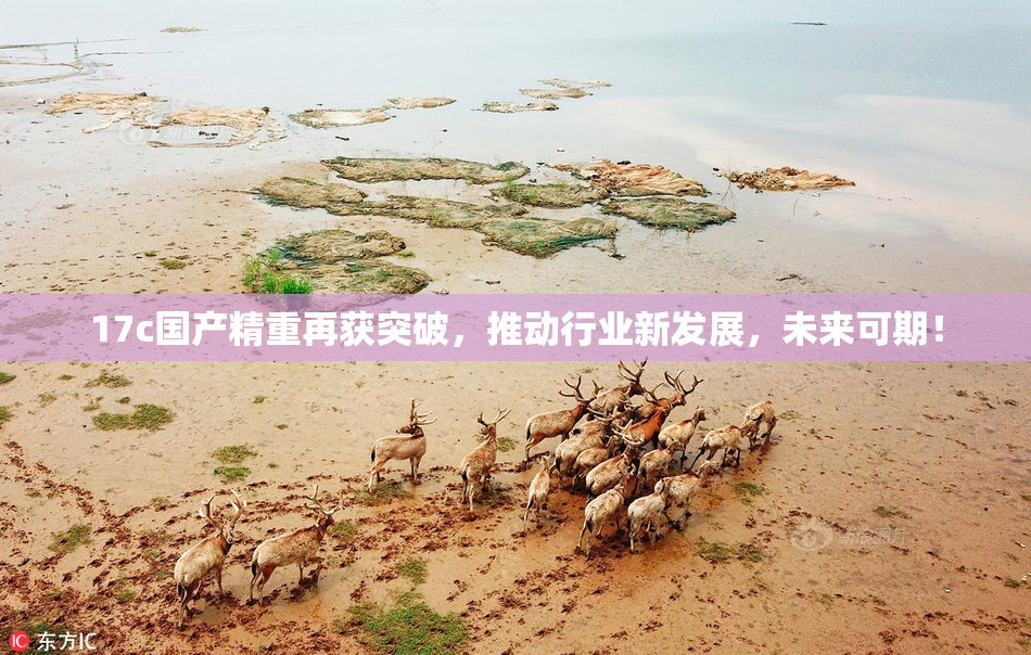 17c国产精重再获突破，推动行业新发展，未来可期！