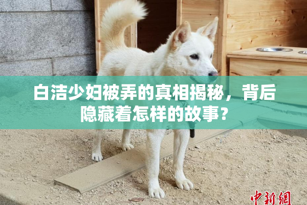白洁少妇被弄的真相揭秘，背后隐藏着怎样的故事？